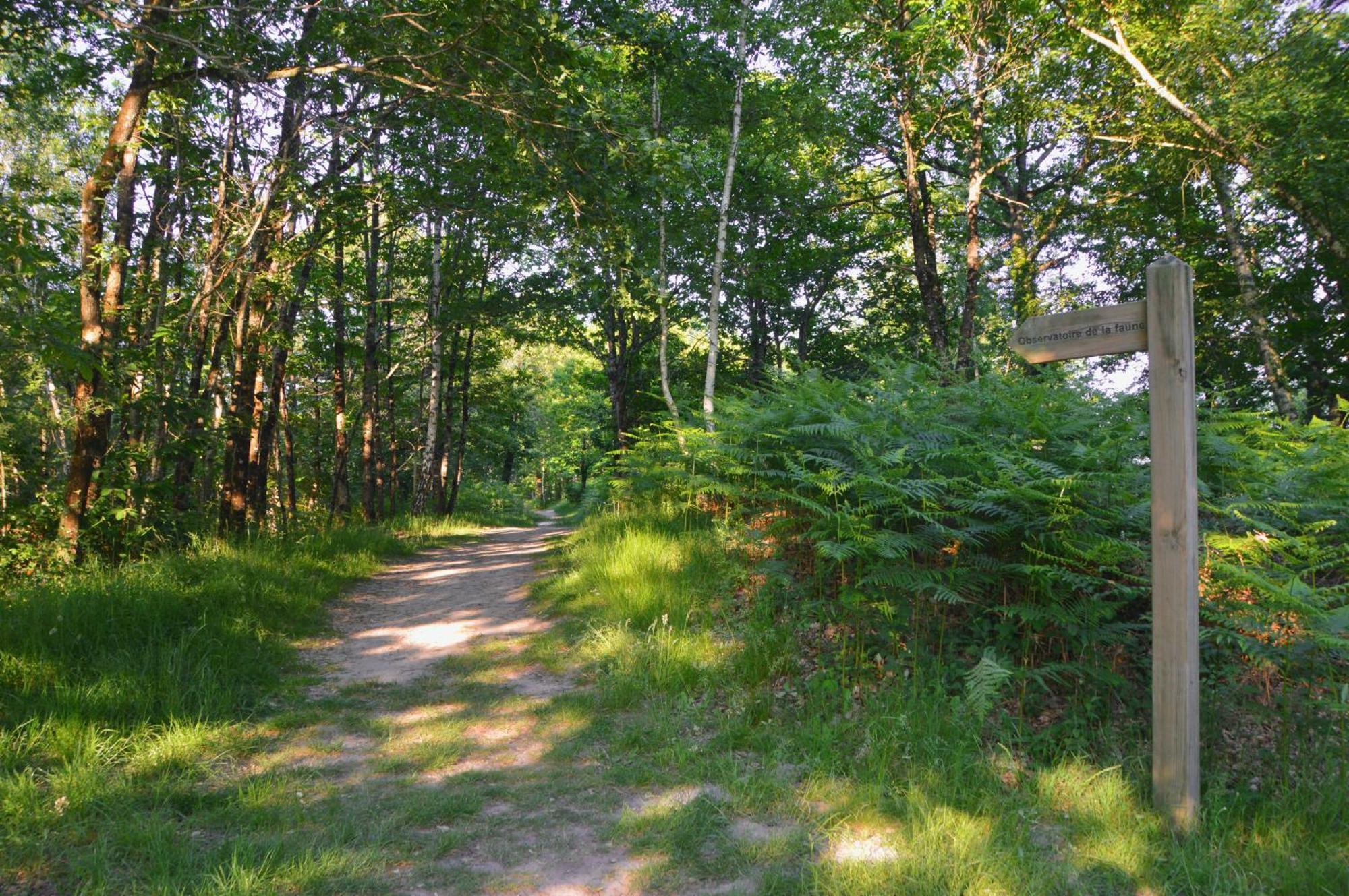 Gite De Charme En Sologne, Sejour En Famille, Jardin, Riviere, Jeux, Nature & Detente Aubigny-sur-Nère Exteriör bild